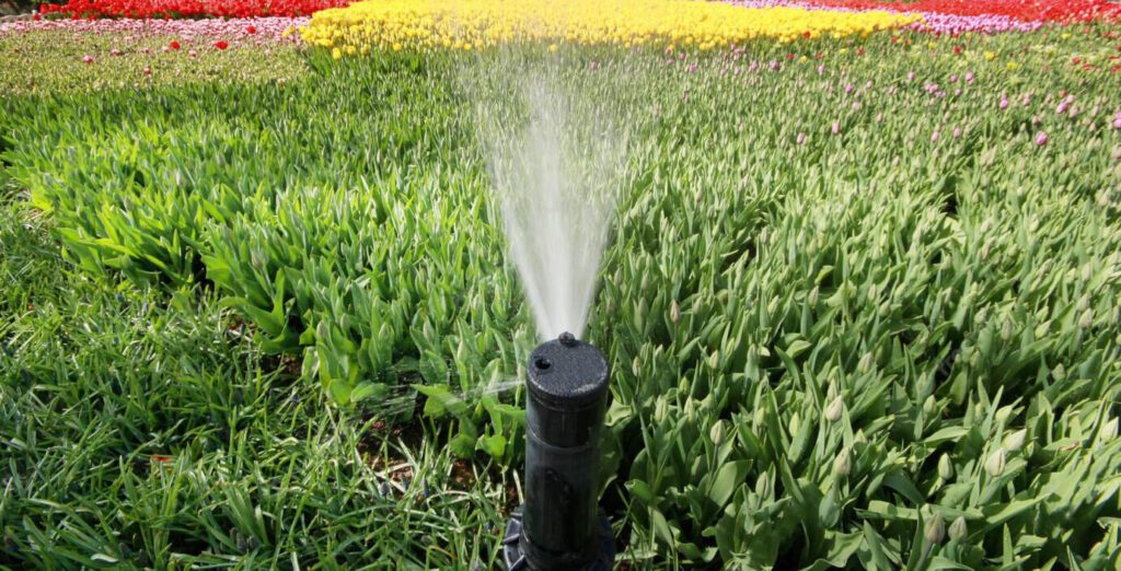 Irrigation Systems, Palm Beach Home Pros