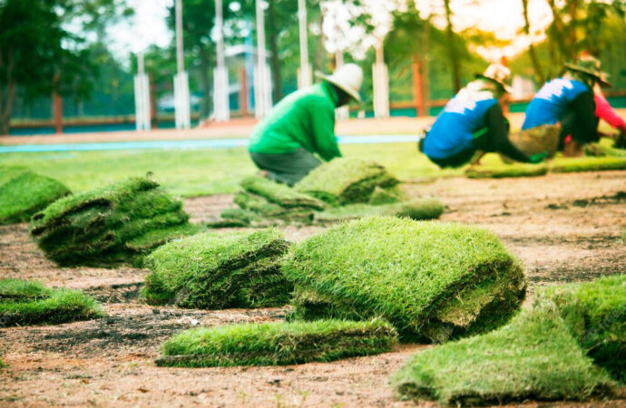 Putting Greens, Palm Beach Home Pros