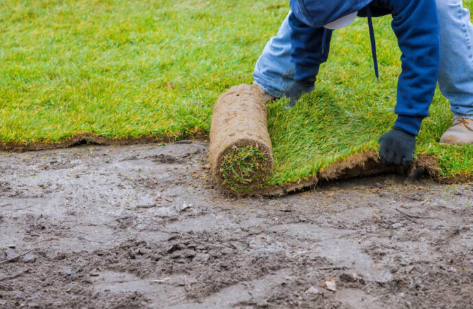 Sod Installation, Palm Beach Home Pros