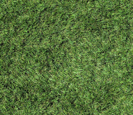 Synthetic Turf, Palm Beach Home Pros