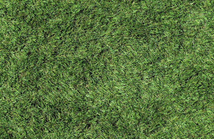 Synthetic Turf, Palm Beach Home Pros